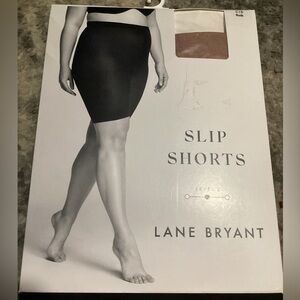 Lane Bryant Slip Shorts, *Level 2 Smoothing, Nude Size C/D (18-22)